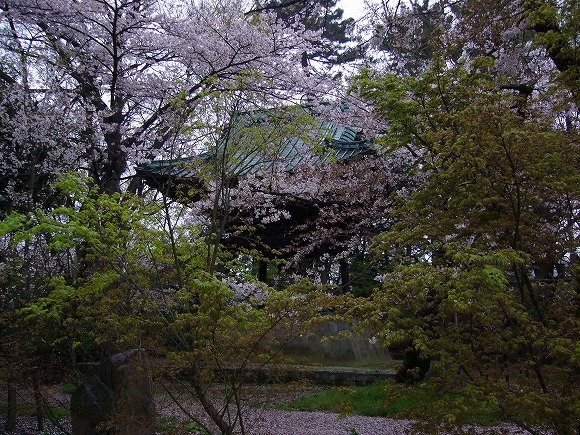 桜と楓に覆われた鐘楼